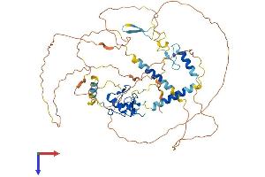 AlphaFold protein structure predicition of Human Recombinant RNF220 Protein, UniprotID Q5VTB9