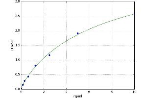 A typical standard curve