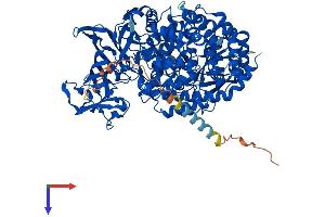 AlphaFold protein structure predicition of Mouse Recombinant Enpep Protein, UniprotID P16406