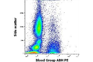 Flow cytometry surface staining pattern of human peripheral whole blood stained using anti-human Blood Group ABH (HE-10) PE antibody (concentration in sample 5 μg/mL). (Blood Group ABH anticorps  (PE))