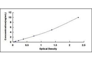 Typical standard curve (TJP2 Kit ELISA)