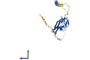 AlphaFold protein structure predicition of Mouse Recombinant Faslg Protein, UniprotID P41047