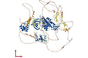 AlphaFold protein structure predicition of Human Recombinant TNK2 Protein, UniprotID Q07912