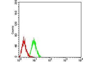 Flow cytometric analysis of Hela cells using TRAF2 mouse mAb (green) and negative control (red).