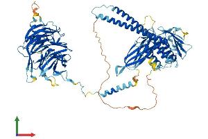 AlphaFold protein structure predicition of Mouse Recombinant Bbs9 Protein, UniprotID Q811G0