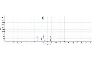 anti-GUCY2C (Indusatumab Biosimilar) antibody