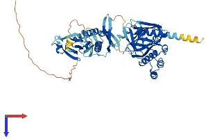 AlphaFold protein structure predicition of Human Recombinant SNX27 Protein, UniprotID Q96L92
