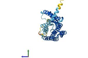 AlphaFold protein structure predicition of Human Recombinant OR11A1 Protein, UniprotID Q9GZK7