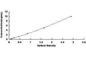 Typical standard curve (LDHB Kit ELISA)