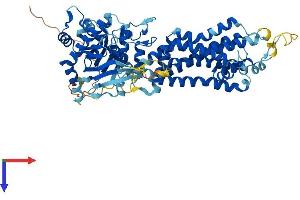 AlphaFold protein structure predicition of Human Recombinant ABCG5 Protein, UniprotID Q9H222