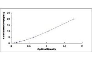 Typical standard curve