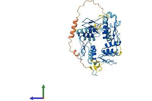 AlphaFold protein structure predicition of Human Recombinant ZNF25 Protein, UniprotID P17030