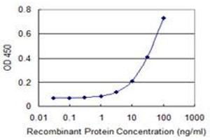 Detection limit for recombinant GST tagged UBA6 is 1 ng/ml as a capture antibody. (UBA6 anticorps  (AA 962-1051))