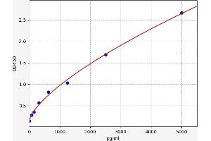 Typical standard curve (Superoxide dismutase copper chaperone Kit ELISA)