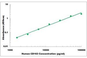Representative Standard Curve (CD163 Kit ELISA)