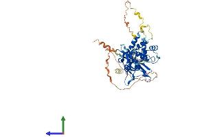 AlphaFold protein structure predicition of Human Recombinant USP30 Protein, UniprotID Q70CQ3