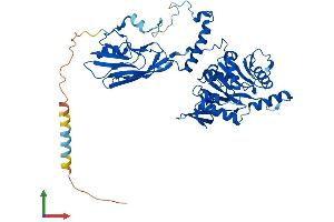 AlphaFold protein structure predicition of Mouse Recombinant B4galnt2 Protein, UniprotID Q09199