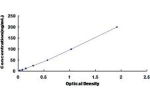 Typical standard curve (Acetyl-CoA Carboxylase alpha Kit ELISA)