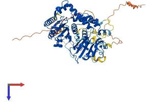 AlphaFold protein structure predicition of Mouse Recombinant Cdadc1 Protein, UniprotID Q8BMD5