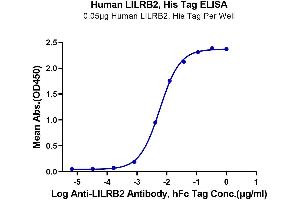 Immobilized Human LILRB2, His Tag at 0.
