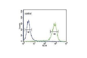 MC3R Antibody (Center) (ABIN652665 and ABIN2842446) flow cytometric analysis of K562 cells (right histogram) compared to a negative control cell (left histogram). (MC3R anticorps  (AA 86-112))