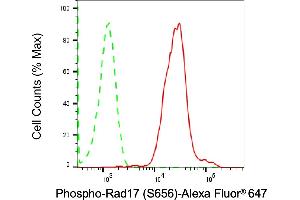 Flow cytometric analysis of Phospho-Rad17 (S656) expression in HAP-1 cells using Phospho-Rad17 (S656) antibody (ABIN7800113), 1:2,000). (Recombinant RAD17 anticorps  (pSer656))