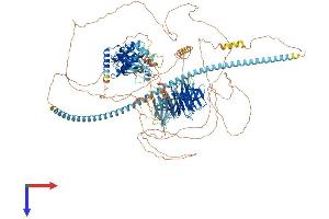 AlphaFold protein structure predicition of Human Recombinant TNIK Protein, UniprotID Q9UKE5
