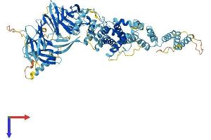 AlphaFold protein structure predicition of Human Recombinant GSAP Protein, UniprotID A4D1B5
