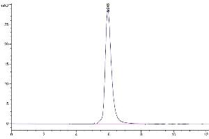The purity of Human M-CSF R is greater than 95 % as determined by SEC-HPLC.