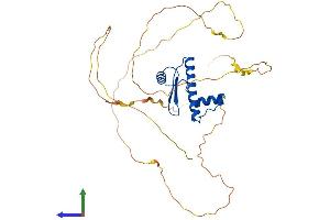 AlphaFold protein structure predicition of Human Recombinant MEF2B Protein, UniprotID Q02080