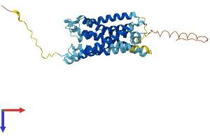 AlphaFold protein structure predicition of Human Recombinant CX3CR1 Protein, UniprotID P49238