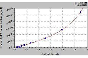 Typical Standard Curve (PPIB Kit ELISA)