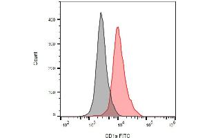 Detection of human CD1a on the surface of MOLT-4 cells (compared with blank) using anti-human CD1a FITC. (CD1a anticorps  (FITC))