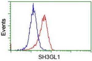 Image no. 2 for anti-SH3-Domain GRB2-Like 1 (SH3GL1) antibody (ABIN1500918)