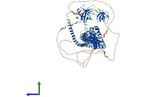 AlphaFold protein structure predicition of Human Recombinant ASAP2 Protein, UniprotID O43150