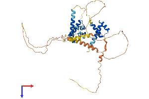 AlphaFold protein structure predicition of Mouse Recombinant Pou4f1 Protein, UniprotID P17208