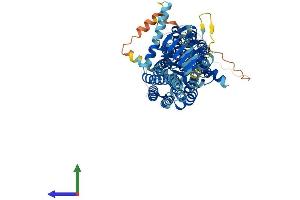 AlphaFold protein structure predicition of Mouse Recombinant Sv2b Protein, UniprotID Q8BG39