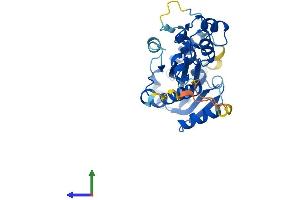 AlphaFold protein structure predicition of Human Recombinant RNASEH2A Protein, UniprotID O75792