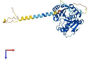 AlphaFold protein structure predicition of Human Recombinant ST6GALNAC6 Protein, UniprotID Q969X2
