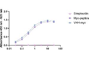 Streptavidin, myc-peptide and VHH-my were coated on an ELISA plate at 100 ng, respectively.
