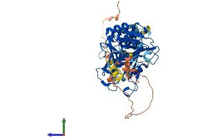 AlphaFold protein structure predicition of Mouse Recombinant Sufu Protein, UniprotID Q9Z0P7