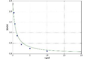 Ribonucleotide Reductase M2 (RRM2) ELISA Kit