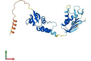AlphaFold protein structure predicition of Mouse Recombinant Kctd4 Protein, UniprotID Q9D7X1