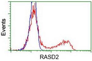 HEK293T cells transfected with either RC201454 overexpress plasmid (Red) or empty vector control plasmid (Blue) were immunostained by anti-RASD2 antibody (ABIN2453962), and then analyzed by flow cytometry. (RASD2 anticorps)