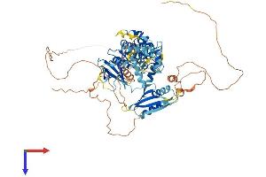 AlphaFold protein structure predicition of Human Recombinant BRSK2 Protein, UniprotID Q8IWQ3