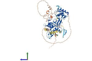 AlphaFold protein structure predicition of Human Recombinant PHF19 Protein, UniprotID Q5T6S3