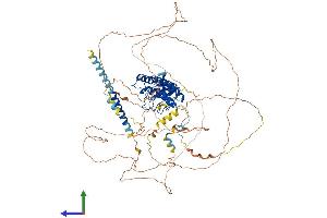 AlphaFold protein structure predicition of Mouse Recombinant Ppp1r13l Protein, UniprotID Q5I1X5