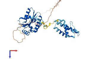 AlphaFold protein structure predicition of Human Recombinant KTI12 Protein, UniprotID Q96EK9