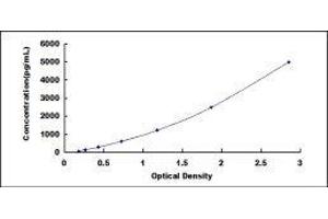 Fast Skeletal Troponin I (TNNI2) ELISA Kit
