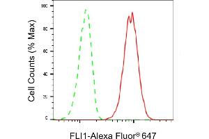 Flow cytometric analysis of FLI1 expression in HT- cells using FLI1 antibody (ABIN7798660), 1:2,000). (Recombinant FLI1 anticorps)